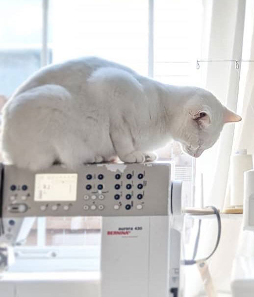 a white cat sits on a sewing machine in front of the window