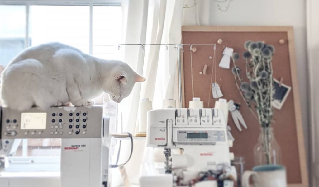 a white cat sits on top of a sewing machine in front of a window. A serger is nearby. 