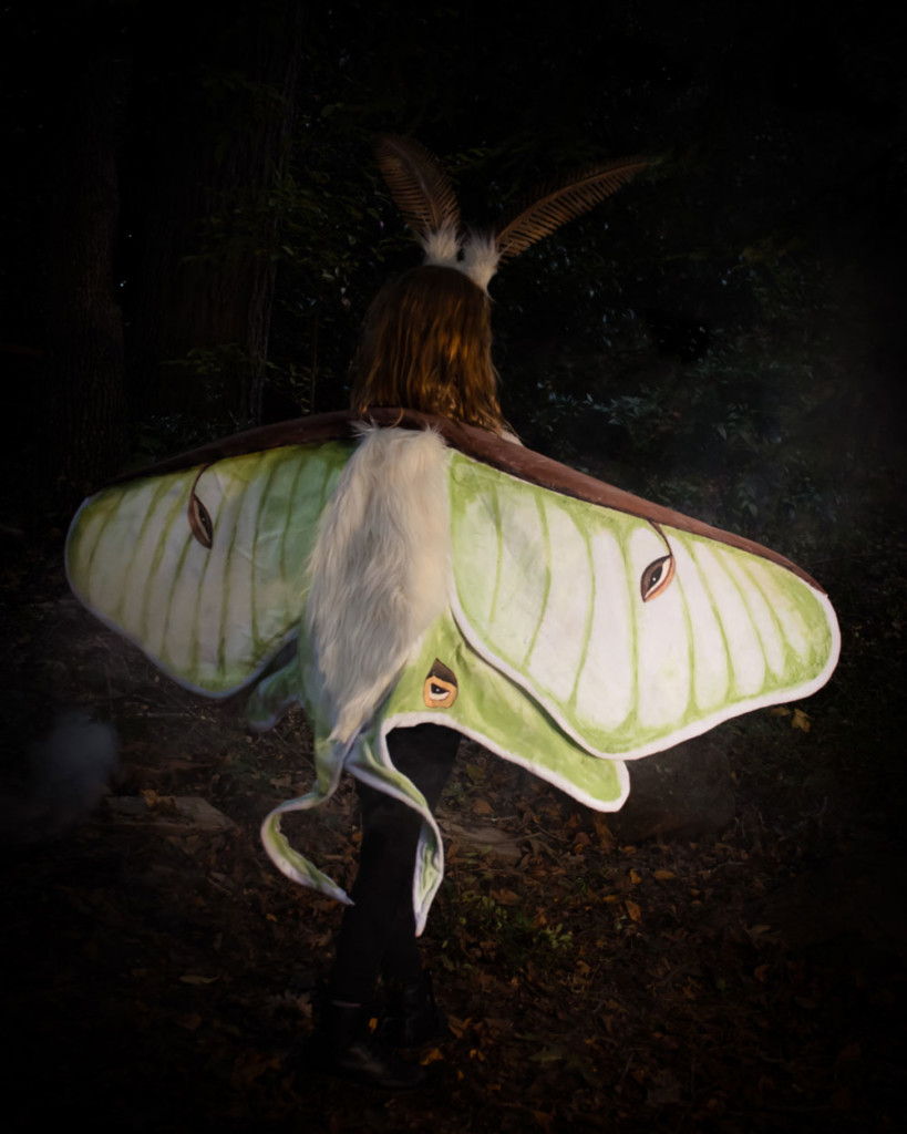 The back of the Luna Moth costume. My daughter is wearing realistic painted fabric wings and headband antennae.